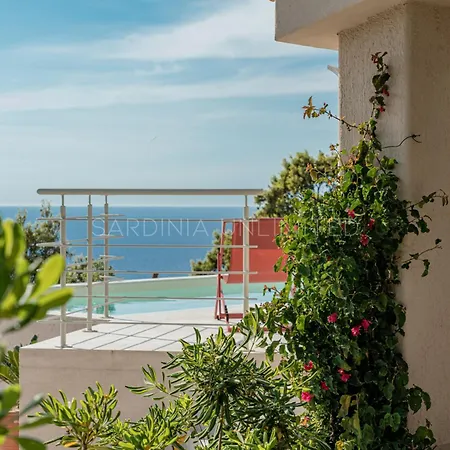 Oro Del Mattino コスタ・パラディーゾ